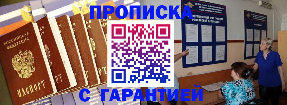 прописка 2025 в Димитровграде